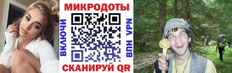 продажа наркотиков  Баймак  Псилоцибиновые грибы мицелий 